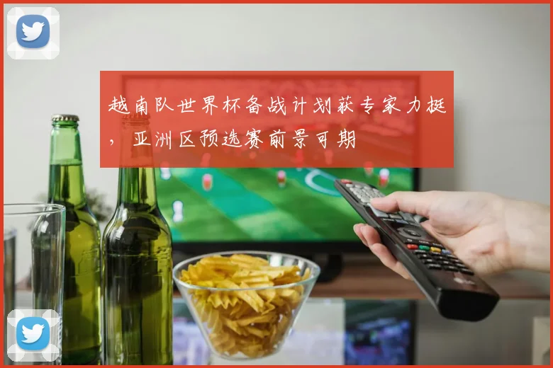 越南队世界杯备战计划获专家力挺，亚洲区预选赛前景可期