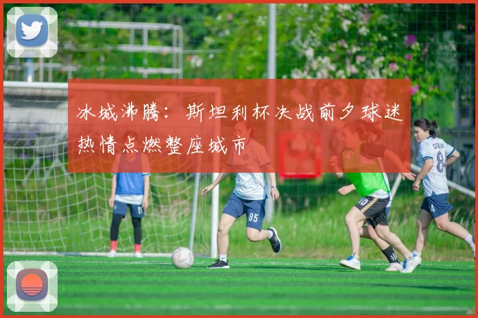 冰城沸腾：斯坦利杯决战前夕球迷热情点燃整座城市