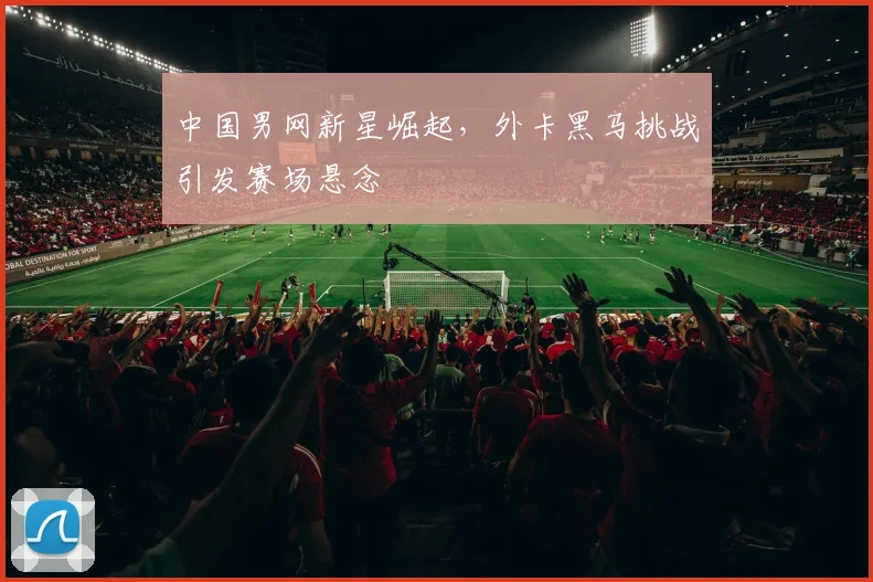 中国男网新星崛起，外卡黑马挑战引发赛场悬念
