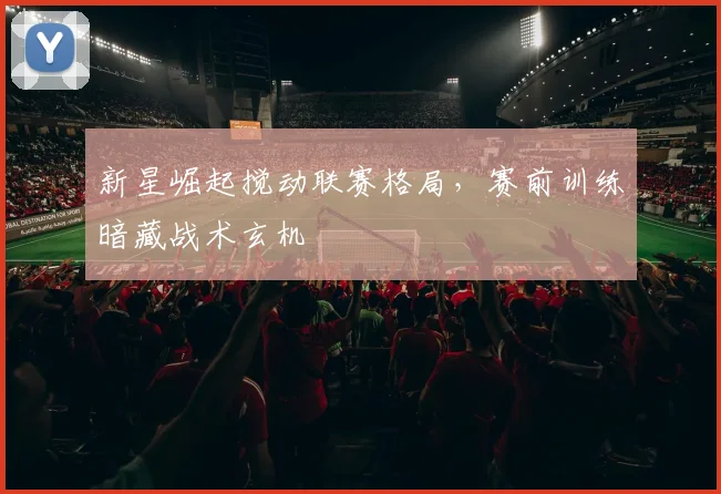 新星崛起搅动联赛格局，赛前训练暗藏战术玄机