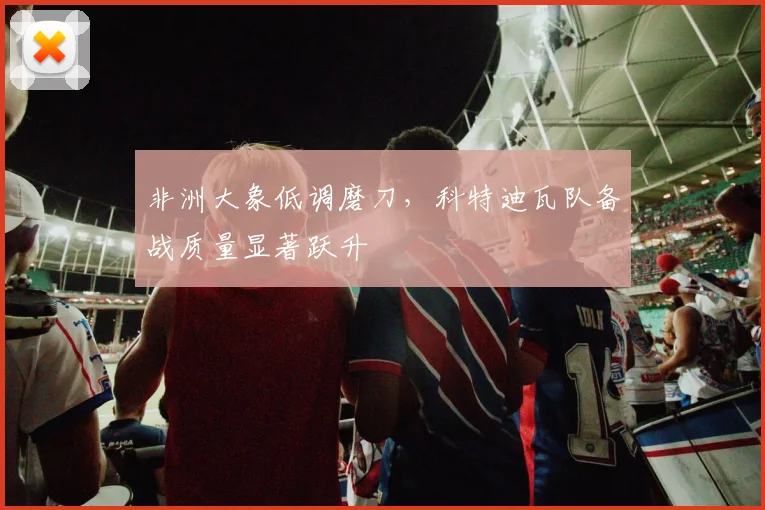非洲大象低调磨刀，科特迪瓦队备战质量显著跃升