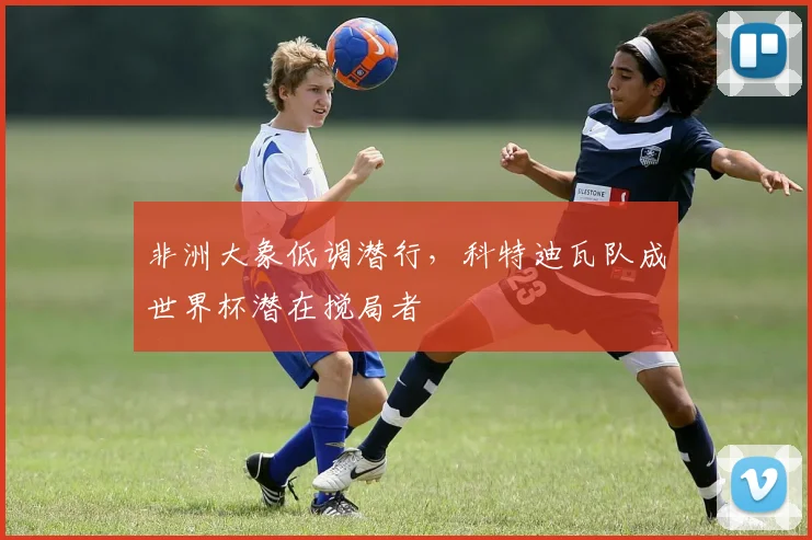 非洲大象低调潜行，科特迪瓦队成世界杯潜在搅局者